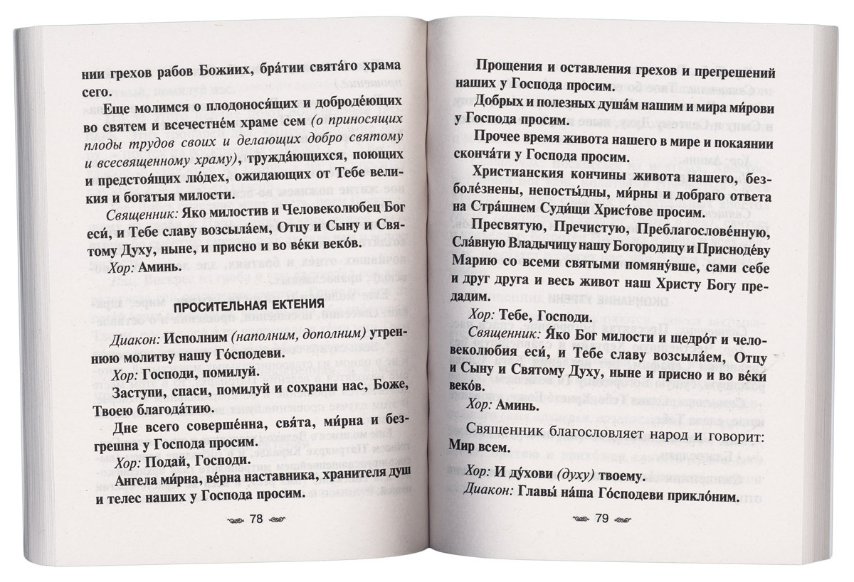 Всенощное бдение. Божественная Литургия Иоанна Златоуста с разъяснениями | All-Night Vigil. The Divine Liturgy of St. John Chrysostom with Explanations - Ozon image 3