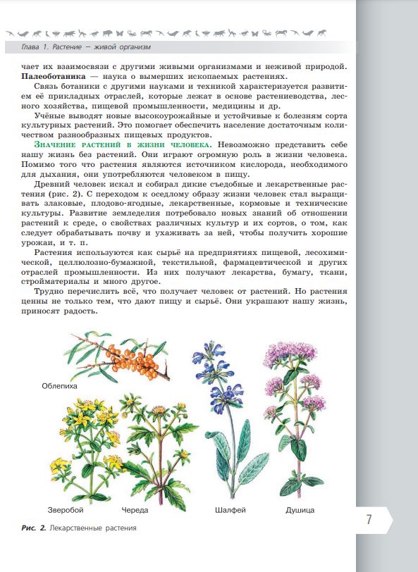 Биология. 6 класс. Базовый уровень. Учебник ФГОС | Reference Book - Ozon image 4