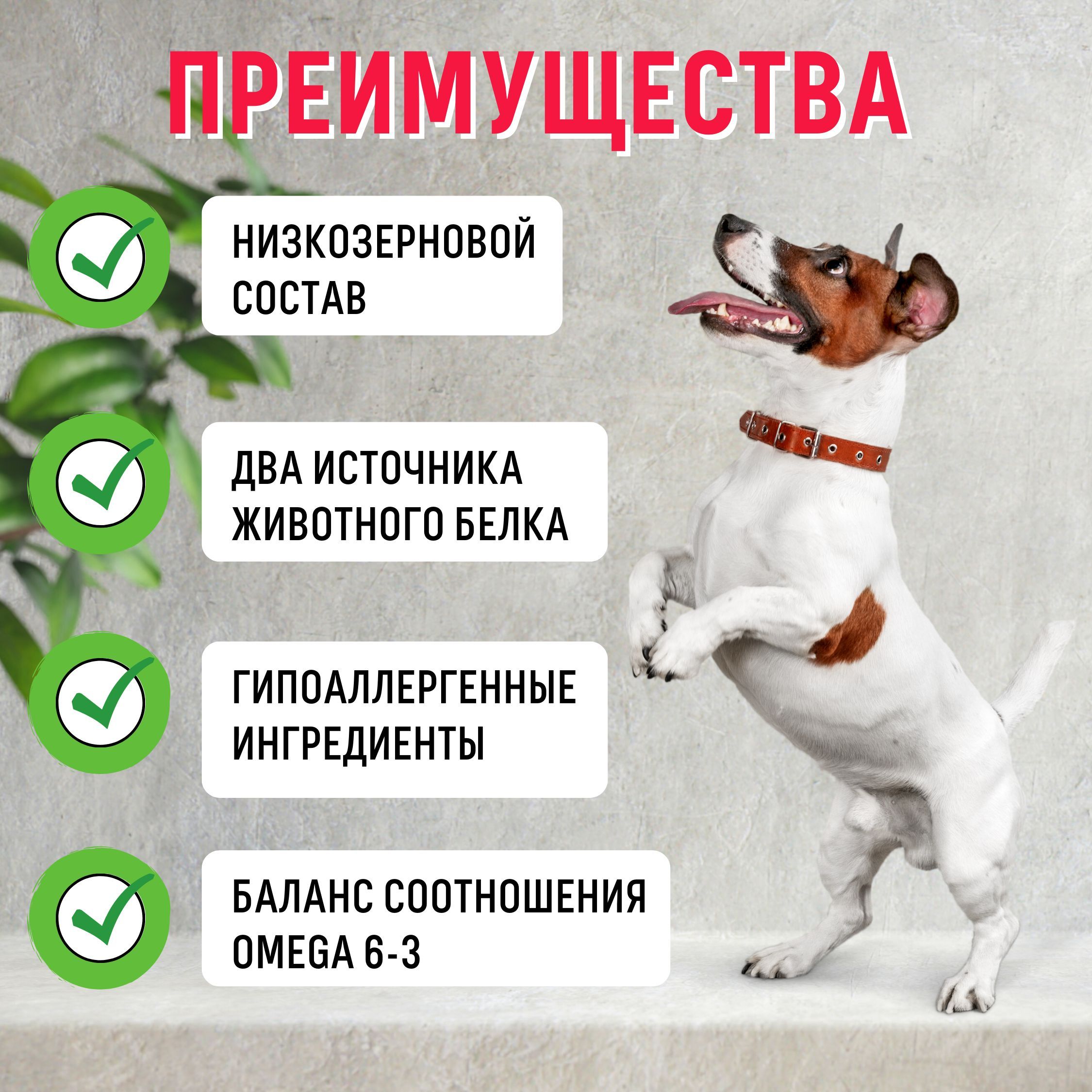 Grandorf для собак корм, гипоаллергенный ГРАНДОРФ, ягненок с индейкой ...