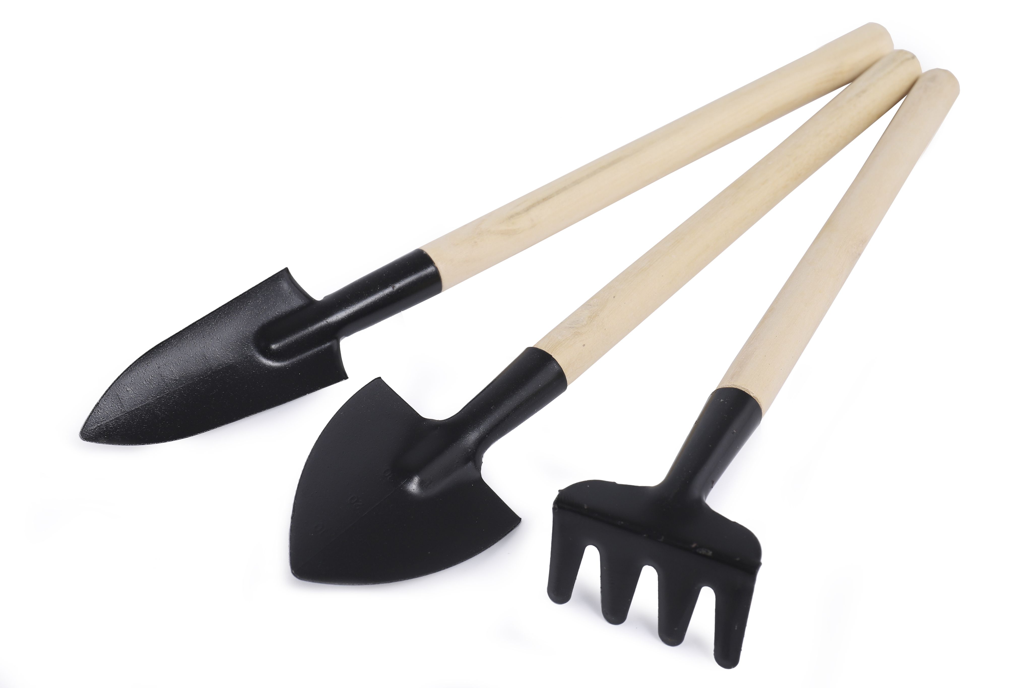 Агрономы Москвы дали инструкции по подготовке дачи к сезону