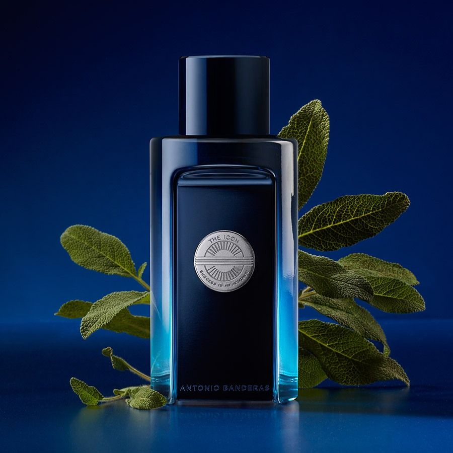 Antonio Banderas The Icon Туалетная вода 50 мл (288558389)