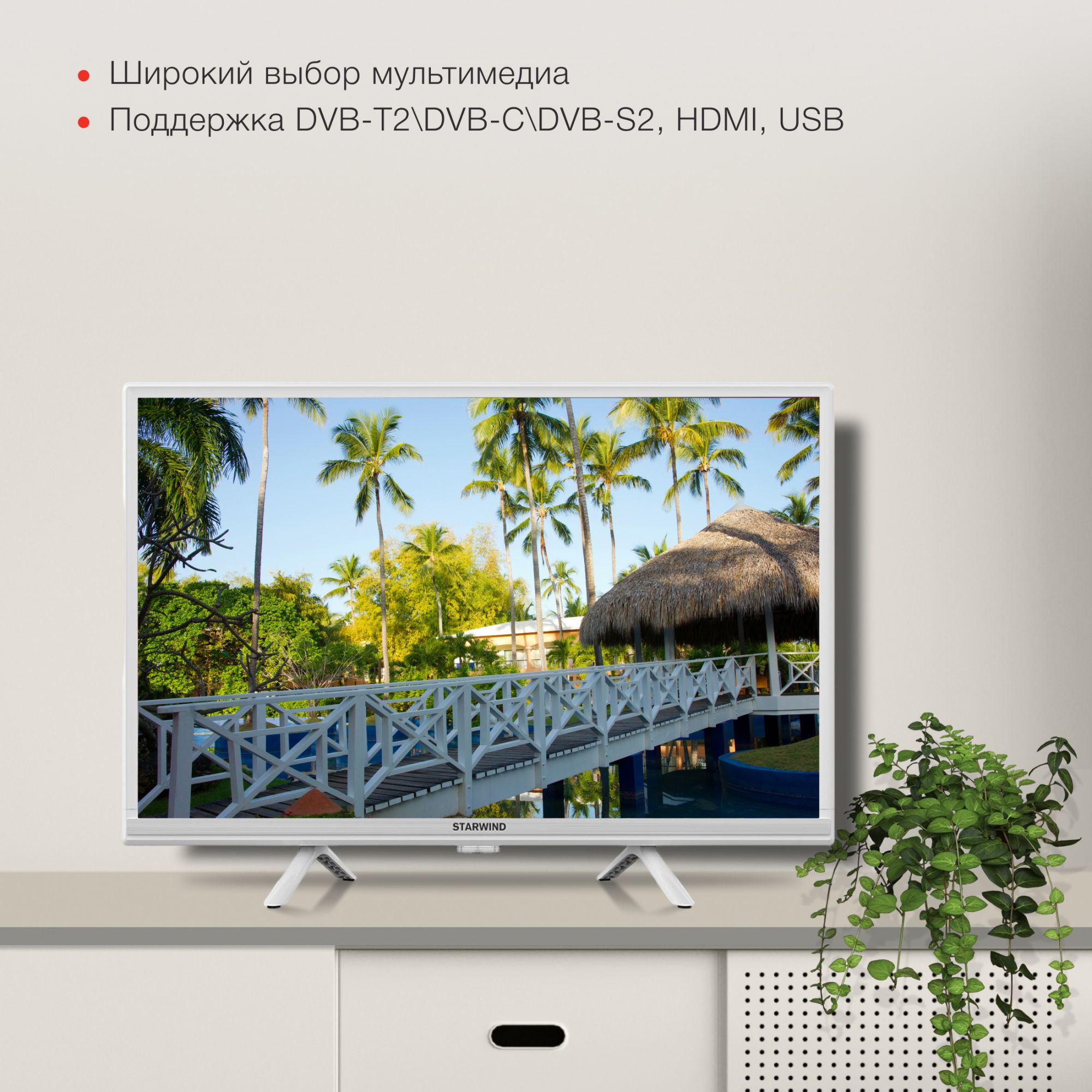 Купить телевизор STARWIND SW-LED24SG312 24" - купить с доставкой по ...