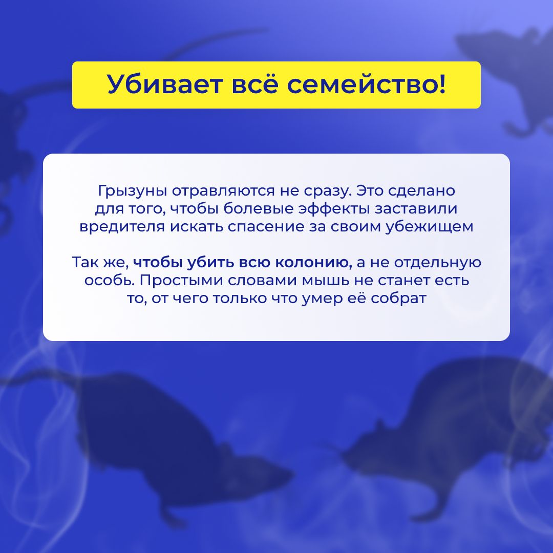 Убойная отрава для крыс и мышей Тесто-Брикет 200 гр . Средство от грызунов  