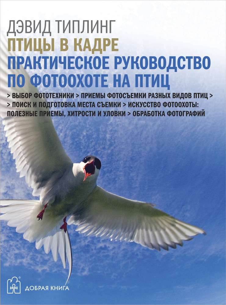 Птицы в кадре. Практическое руководство по фотоохоте на птиц | Типлинг Дэвид  #1