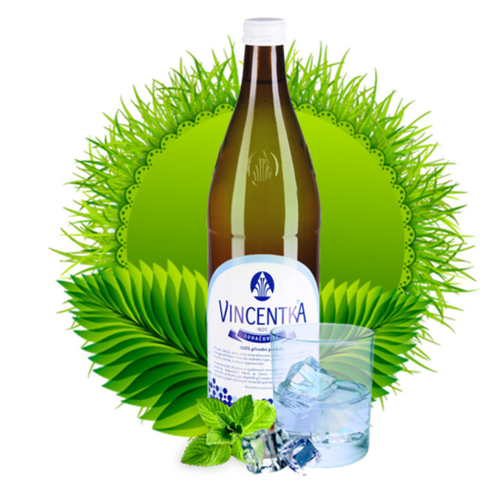 Вода минеральная лечебная Vincentka (Винцентка) 0,75 л х 6 шт. газированная, стекло  #1