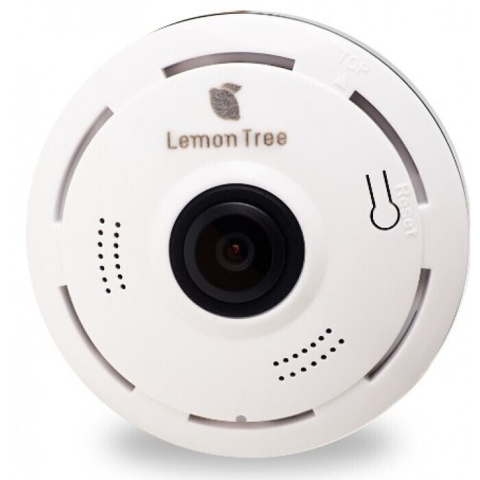 Panoramic best sale camera v380s