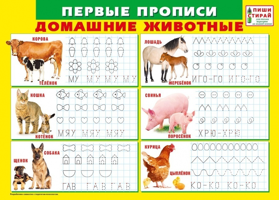 Альбом для рисования 32л А4 Забавные животные купить в Новосибирске - интернет магазин Rich Family