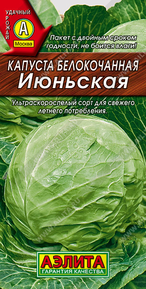 Капуста белокочанная Июньская ультраскороспелая, для потребления в свежем виде  #1