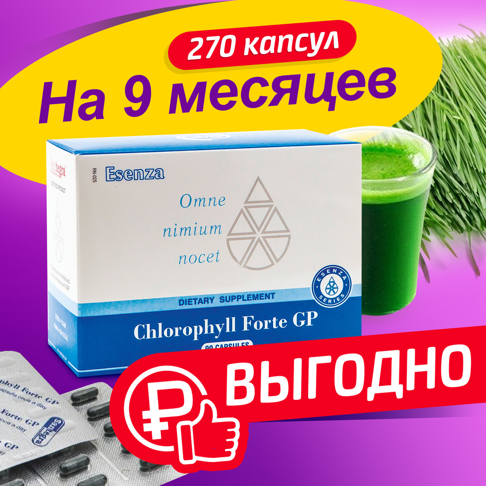 Хлорофилл Santegra , природный антисептик , улучшает пищеварение , очищает  кожу , укрепит иммунитет , жидкий хлорофилл в капсулах , 50 мг 270 капсул  на 9 месяцев , Сантегра - купить с доставкой по выгодным ценам в  интернет-магазине OZON (412982698)