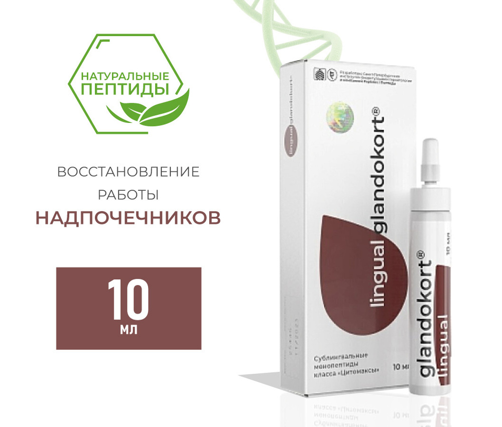 Гландокорт Лингвал пептиды надпочечников 10 мл - купить с доставкой по  выгодным ценам в интернет-магазине OZON (525255935)