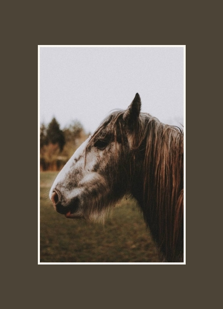 Арт-студия Ариша. Мастерская багета Фоторамка "Однотонный"  #1