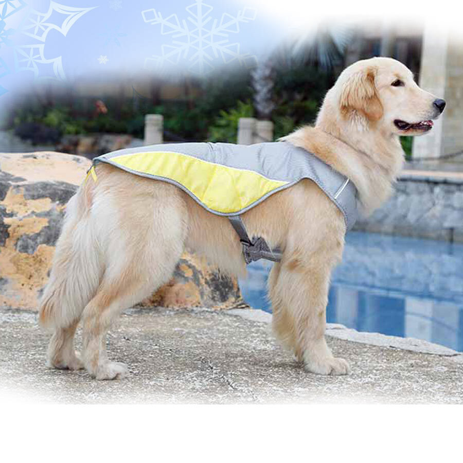 Охлаждающий жилет / охлаждающая попона для собак DogLemi размер 3XL -  купить с доставкой по выгодным ценам в интернет-магазине OZON (609558302)