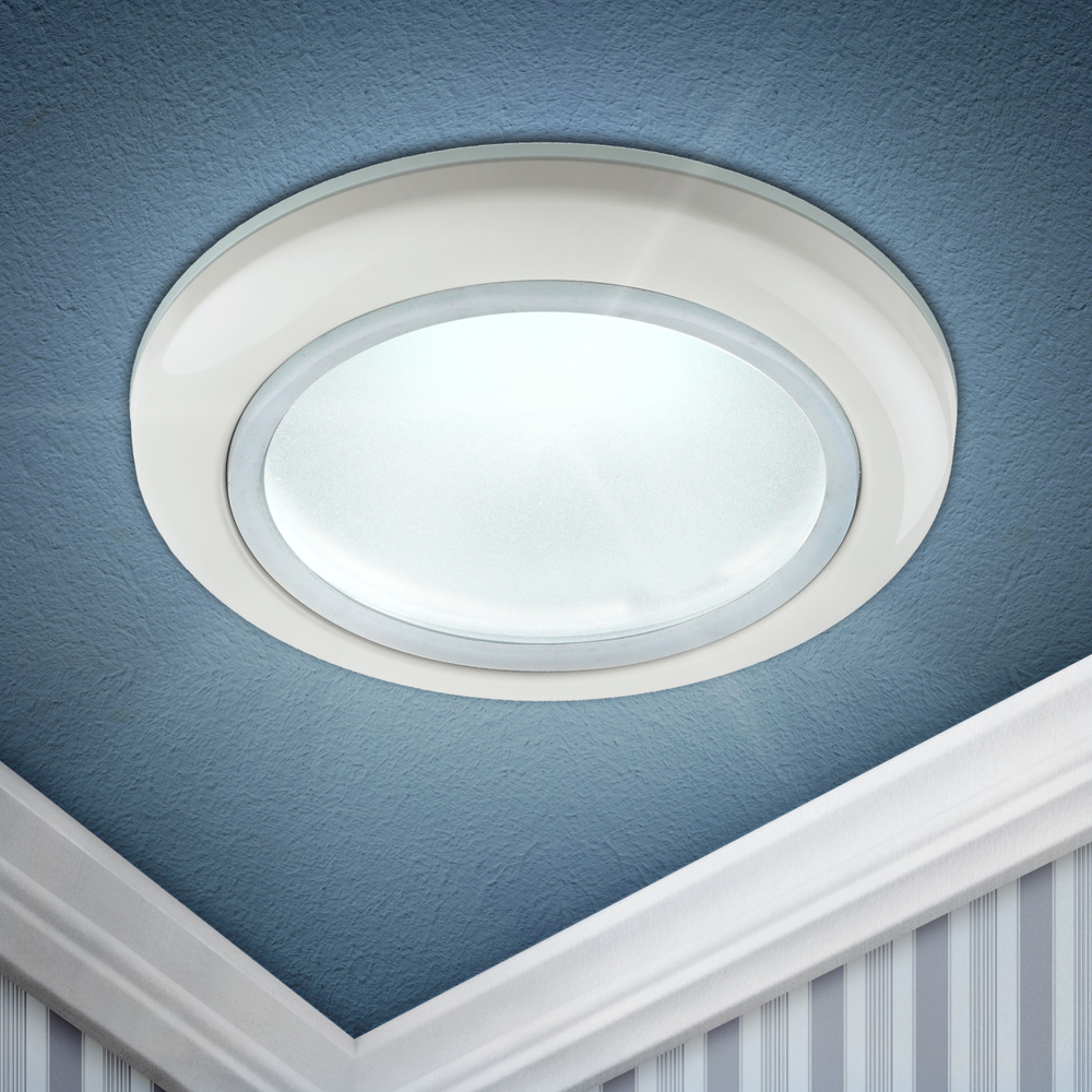 Светильник ЭРА влагозащищенный MR16,12V/220V, 50W белый WR1 WH - купить ...