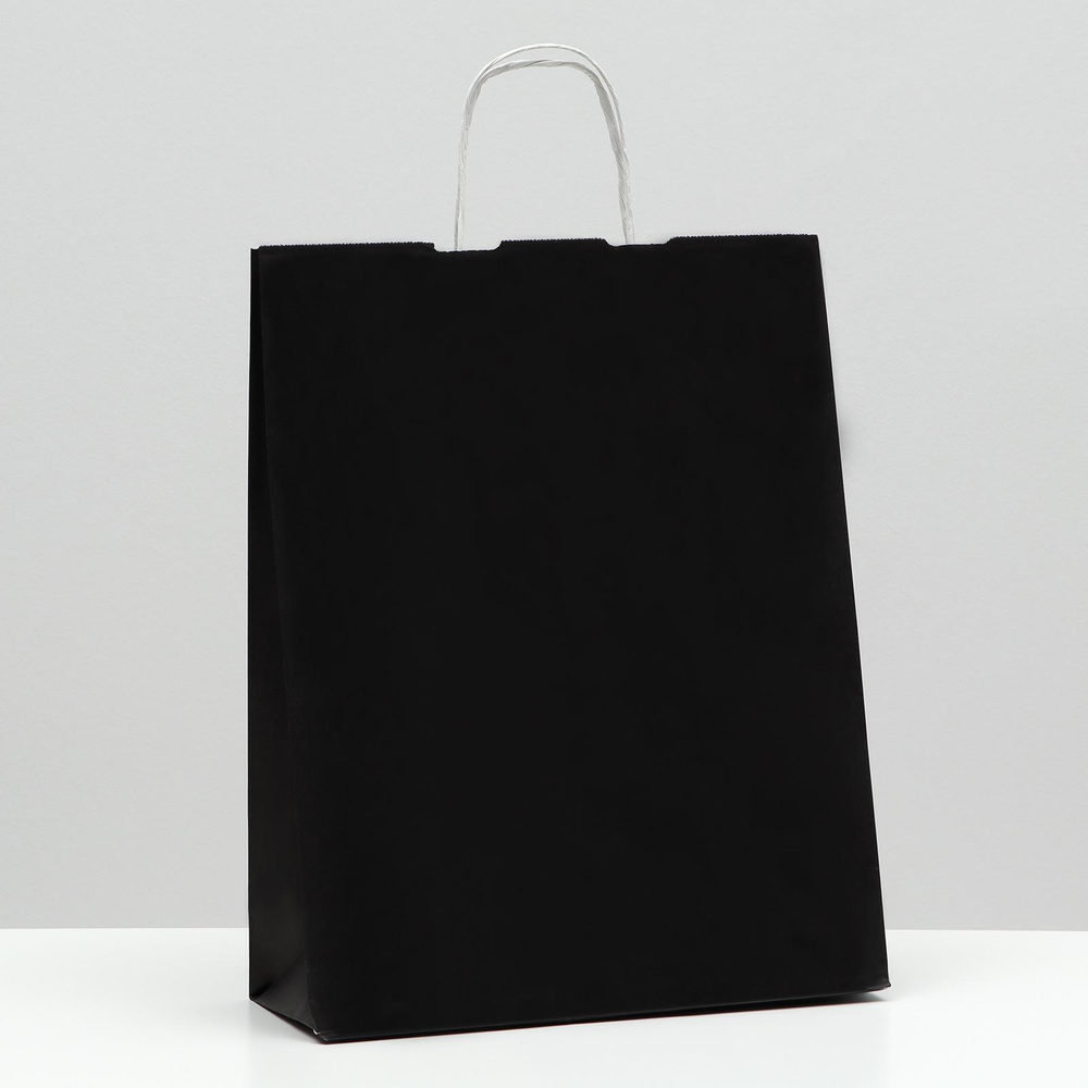Пакет крафт, черный, 22х13х32 см, 2 штуки #1
