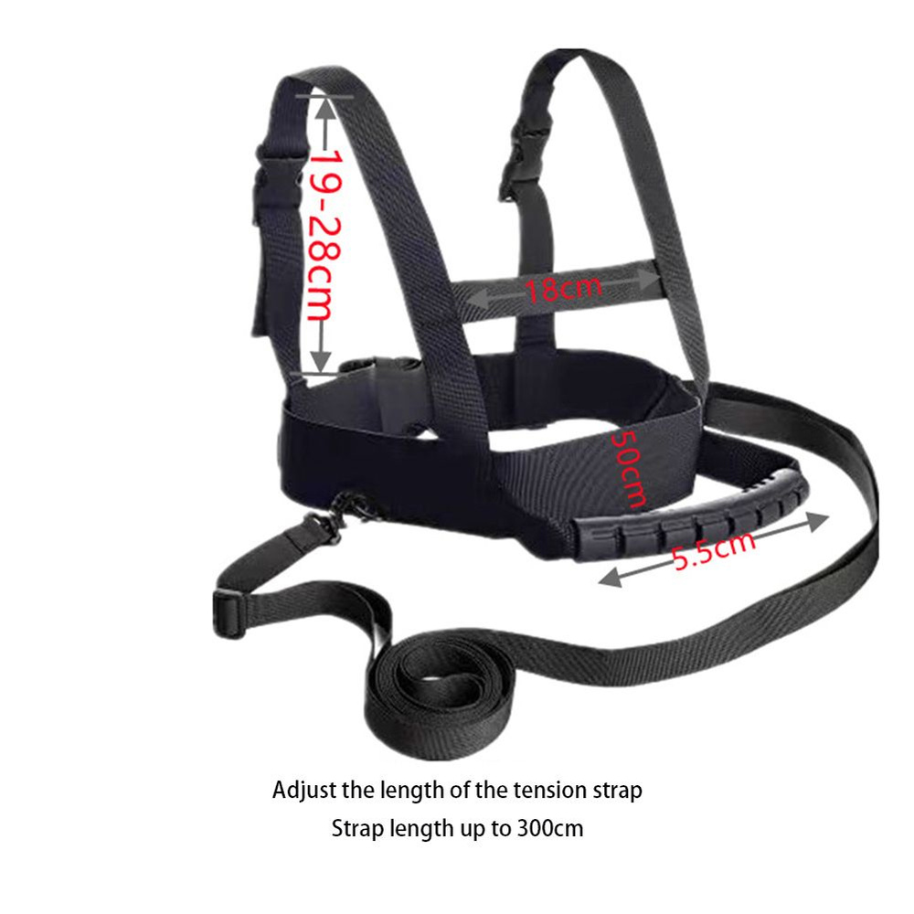 Лыжный поводок. Профессиональный поводок для новичков. купить по ...