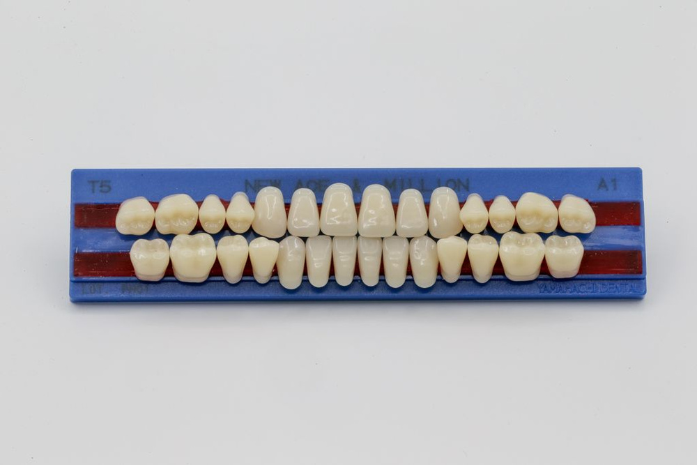 YAMAHACHI Инструмент для зубных протезов - купить с доставкой по ...