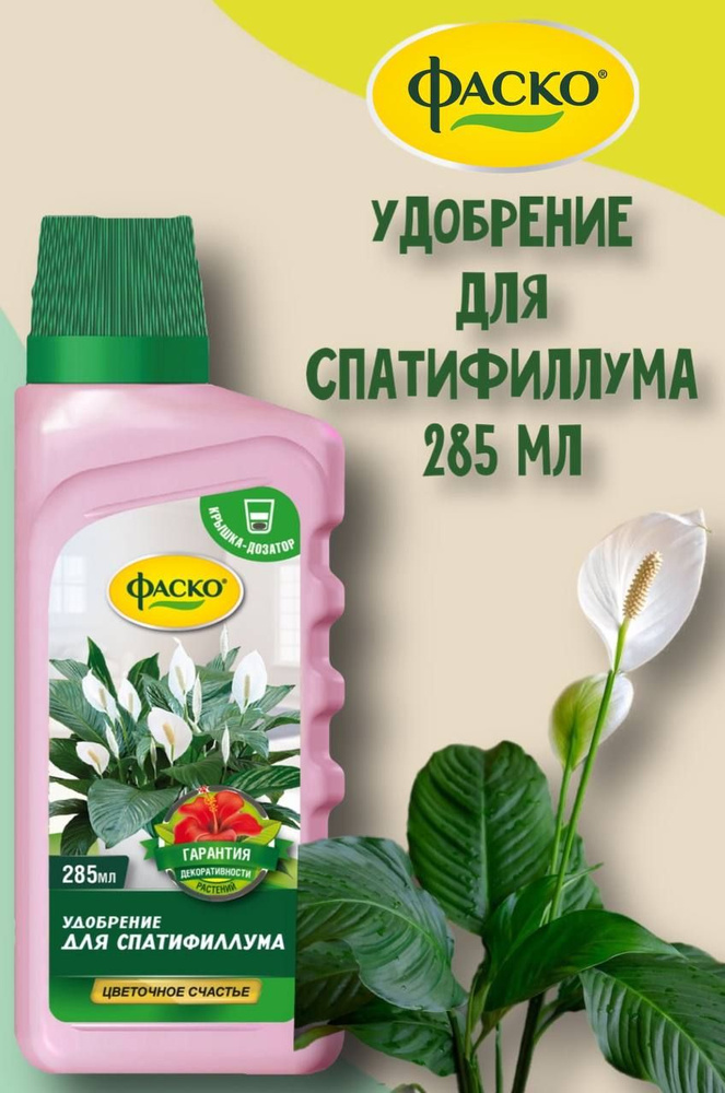 Мощное удобрение для спатифиллума: вносим только его — растение цветет пышно и листья не сохнут