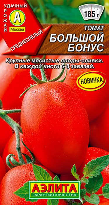 Лучшие сорта томатов на 2024 год: для теплицы и открытого грунта