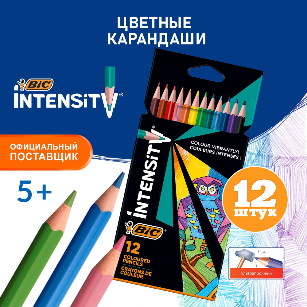 Карандаши цветные для рисования пластиковые мягкие, набор 12 цветов, BIC  INTENSITY - купить с доставкой по выгодным ценам в интернет-магазине OZON  (518400702)