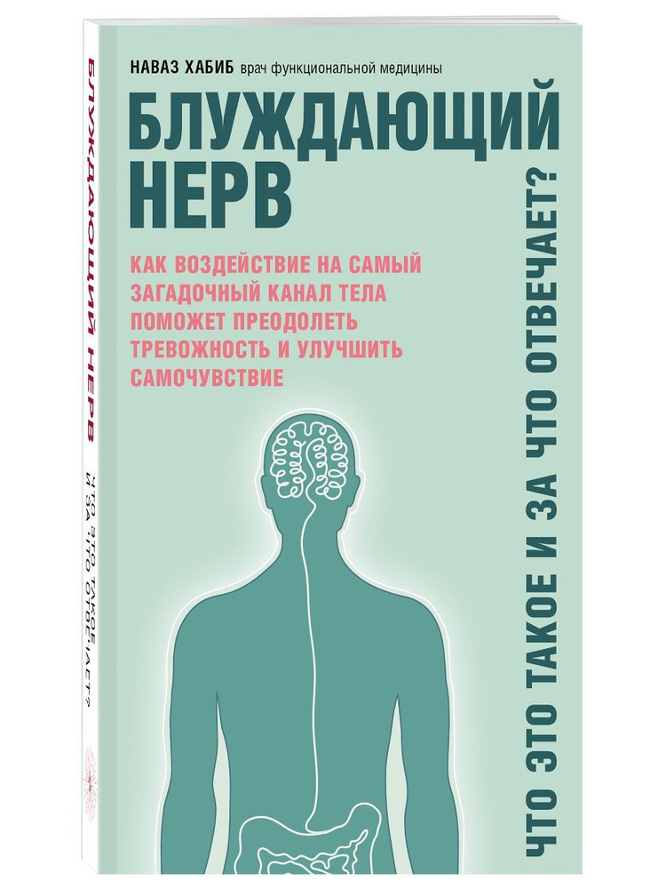Блуждающий нерв. Что это такое и за что отвечает? - купить с доставкой ...