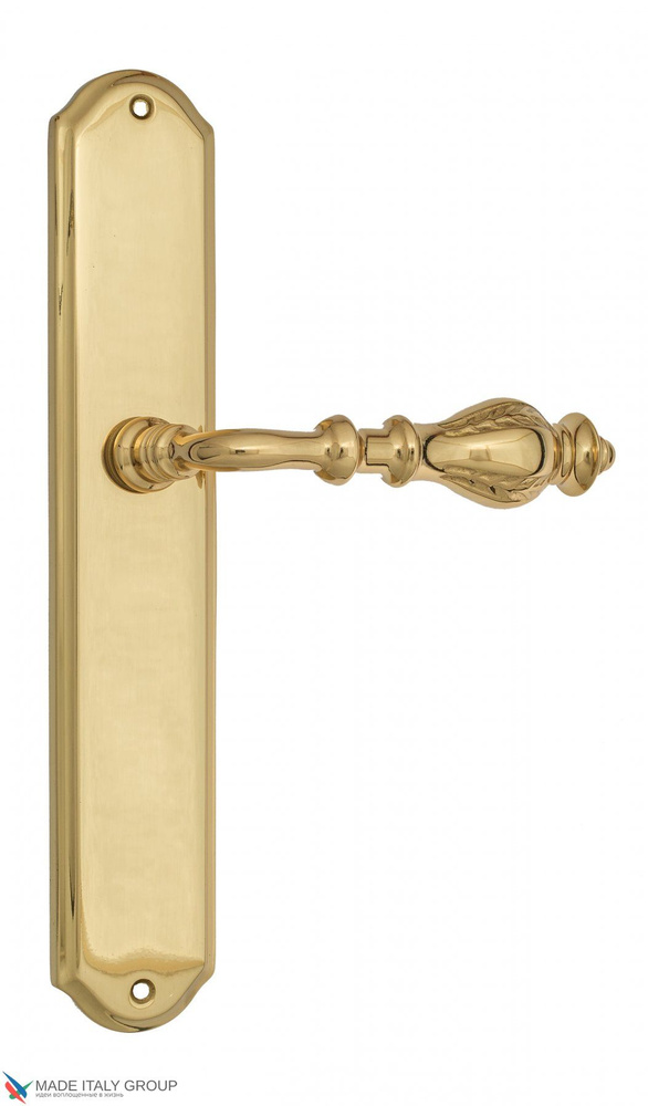 Дверная ручка на планке Venezia GIFESTION PL02 полированная латунь  #1