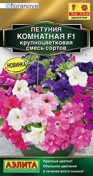 Петуния Комнатная крупноцветковая, смесь сортов селекции Сел. Floranova  #1