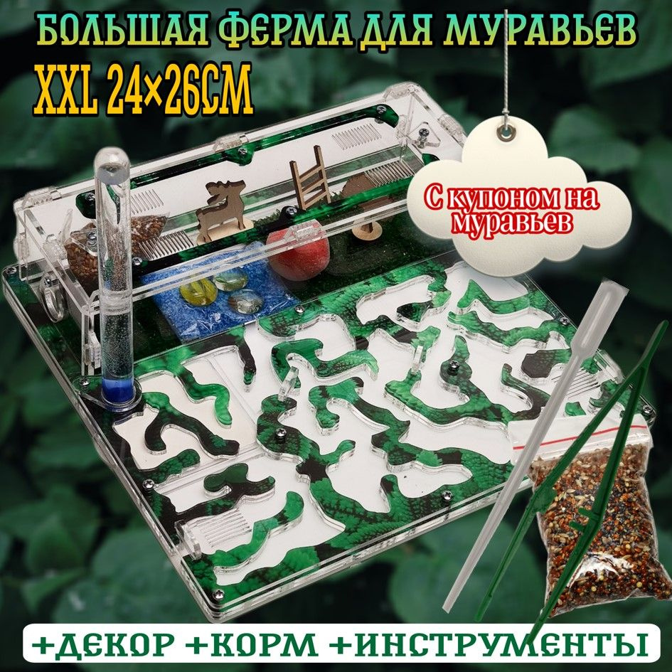 Большая муравьиная ферма 