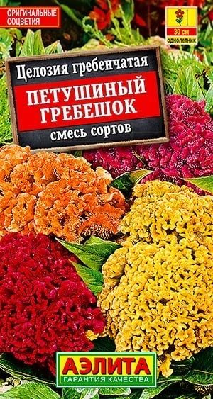 ЦЕЛОЗИЯ ГРЕБЕНЧАТАЯ Петушиный гребешок. Семена. Вес 0,2 гр. Оригинальное быстрорастущее растение с плотными #1