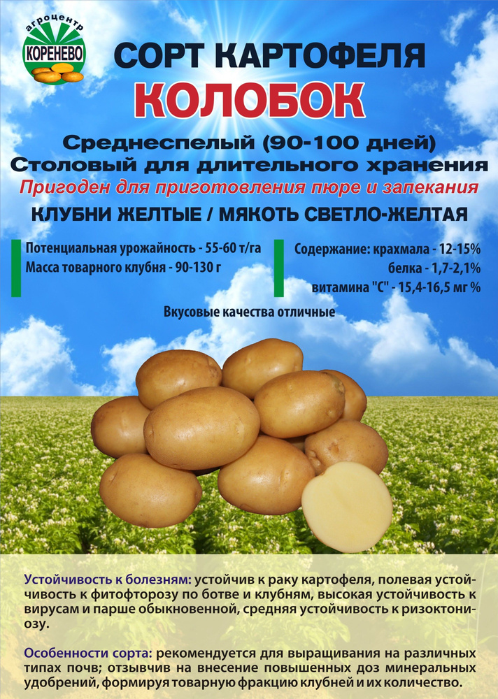Клубни Картофель Агроцентр Коренево купить по выгодной цене в интернет ...