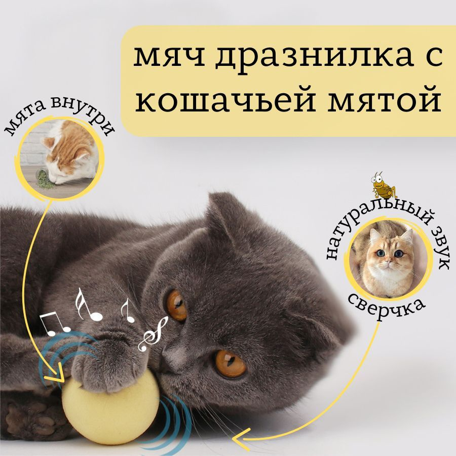 Игрушка для кошек / Мяч дразнлика для кошек с кошачьей мятой - купить с  доставкой по выгодным ценам в интернет-магазине OZON (257150793)