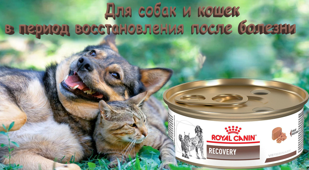 Корм для собак и кошек Royal Canin Recovery Canin/Feline, 195г Х12 #1