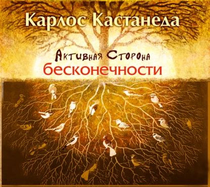 Активная сторона бесконечности | Кастанеда Карлос Сезар Арана | Электронная аудиокнига  #1