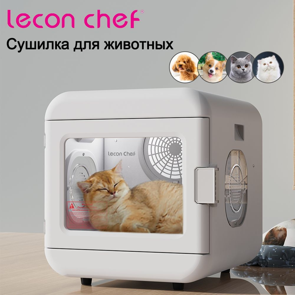 сушилка для животных Leconchef Фен для сушки шерсти животных для кошки -  купить с доставкой по выгодным ценам в интернет-магазине OZON (1288787221)