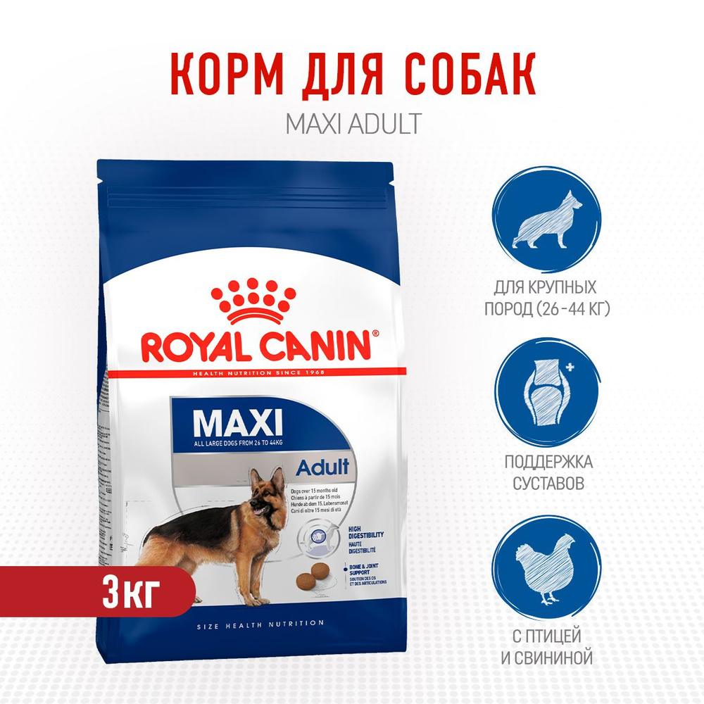 Royal canin maxi store adult