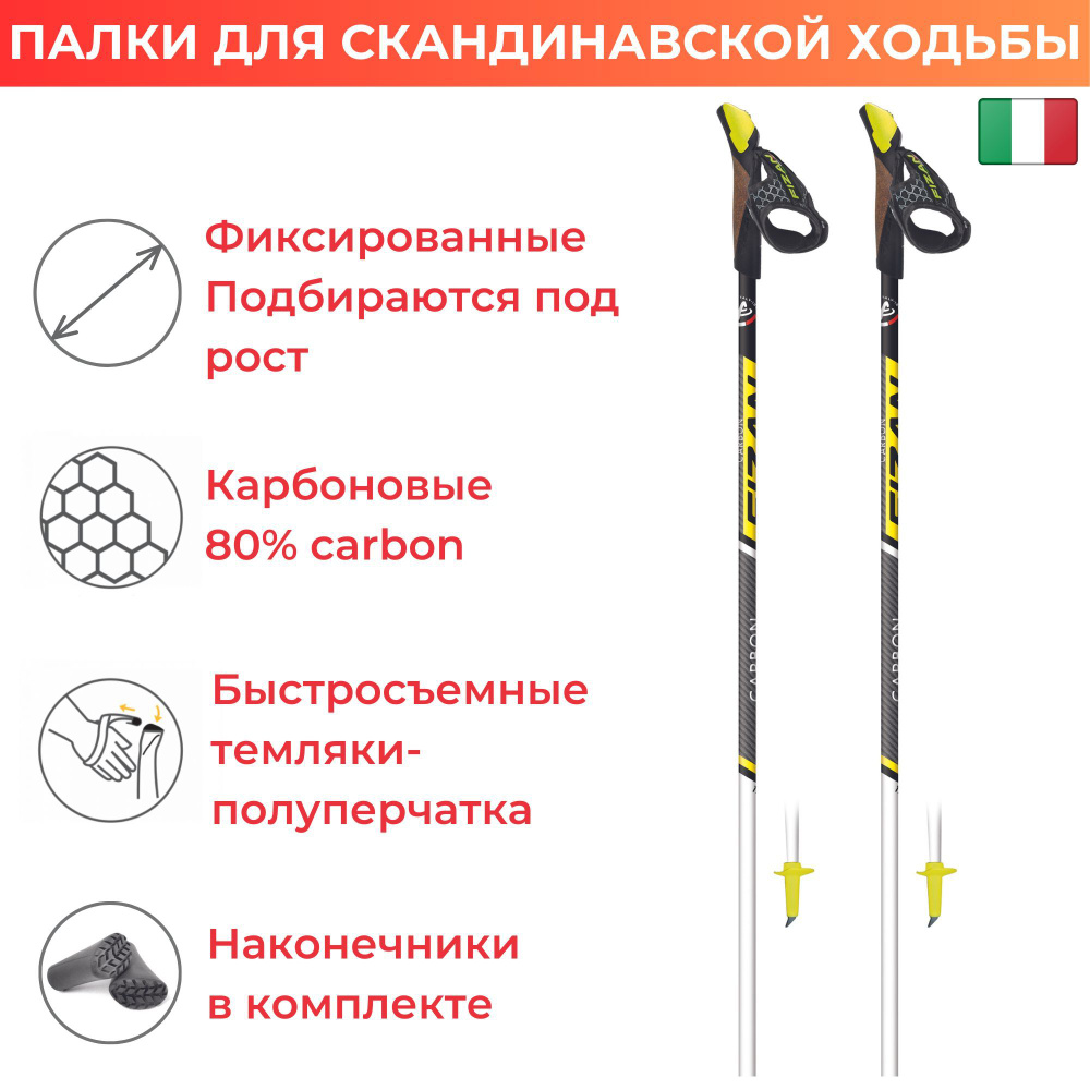 Палки для скандинавской ходьбы FIZAN NW CARBON RACE C80 115 см - купить ...