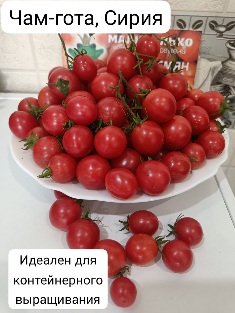 Семена #1
