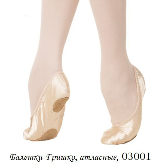 Grishko hot sale ballet shoes