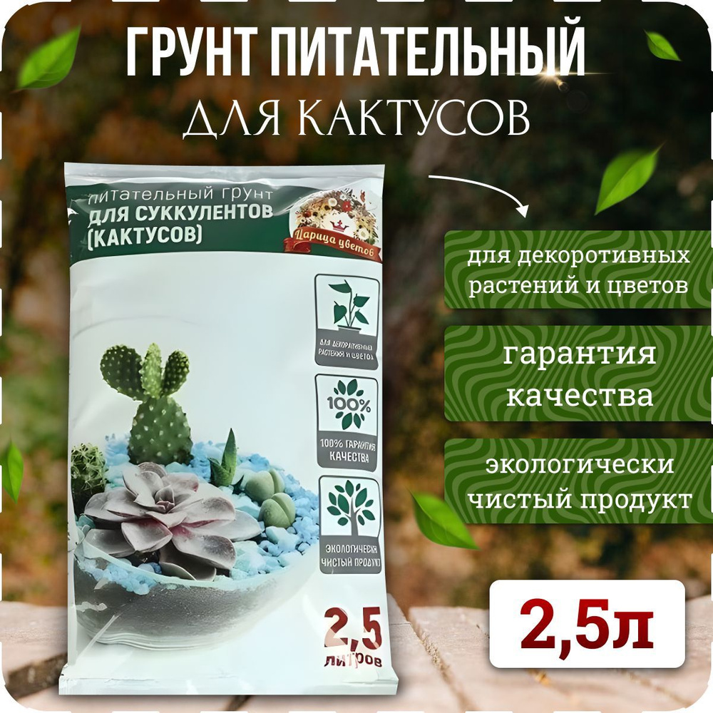 Почвогрунт торфяной (земля) для кактусов и суккулентов (алоэ, молоча ...