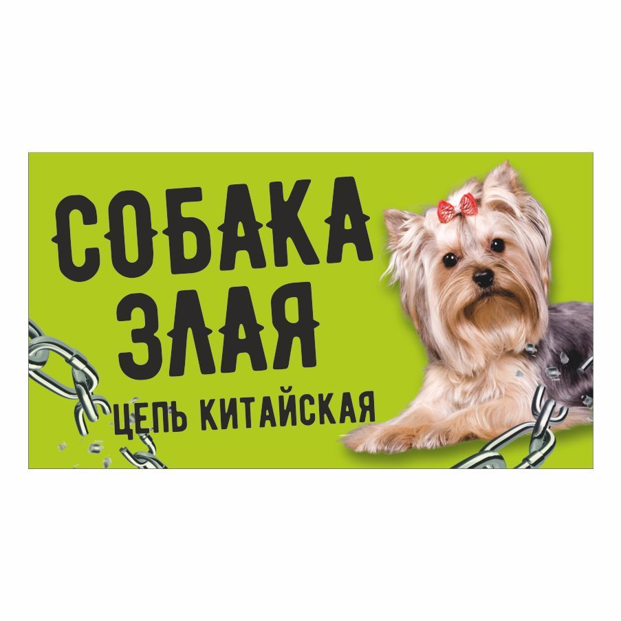 Табличка, с юмором, прикол, DANGER DOG, злая собака, 25x14 см, 25 см, 14 см  - купить в интернет-магазине OZON по выгодной цене (1010325703)