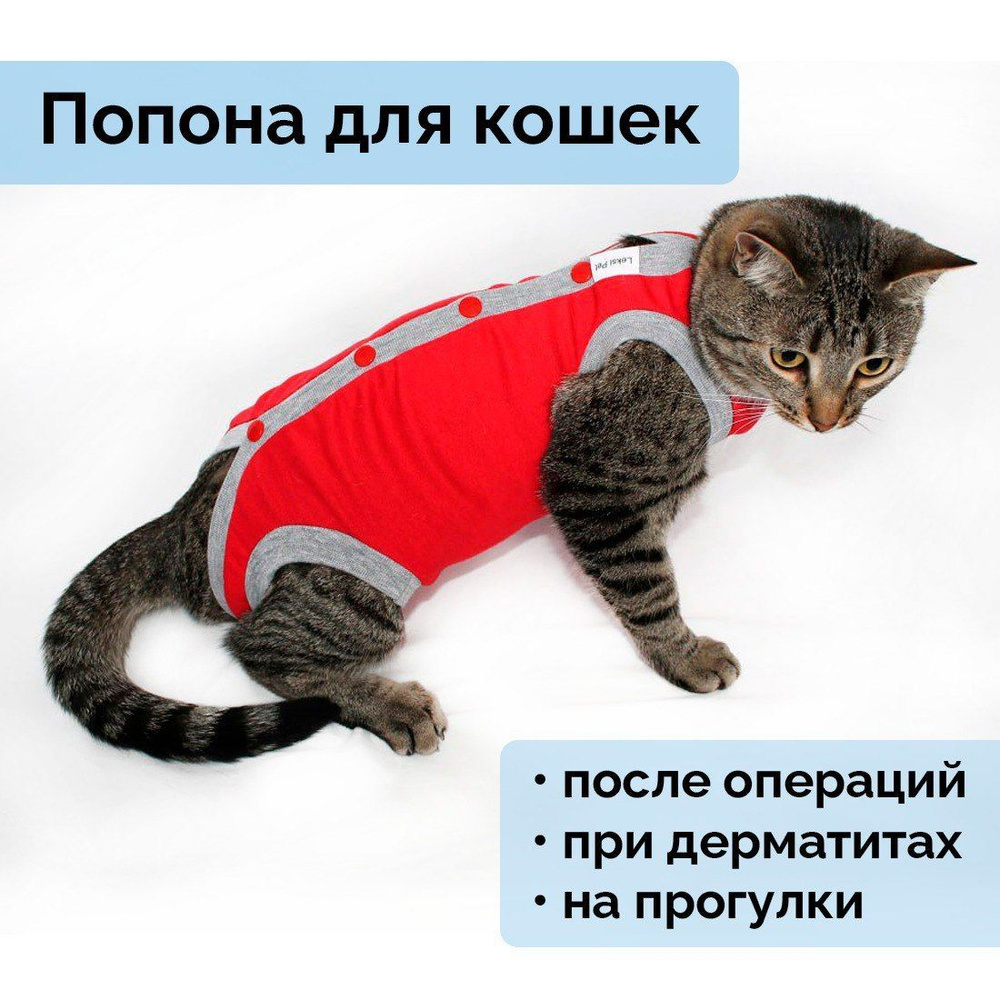 попона на кнопках послеоперационная для кошек, размер L - купить с  доставкой по выгодным ценам в интернет-магазине OZON (255983374)