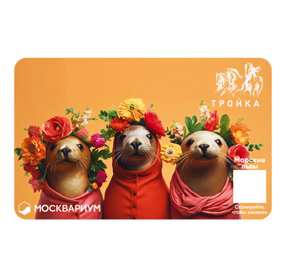 Карта "Тройка" Москвариум - купить с доставкой по выгодным ценам в ...