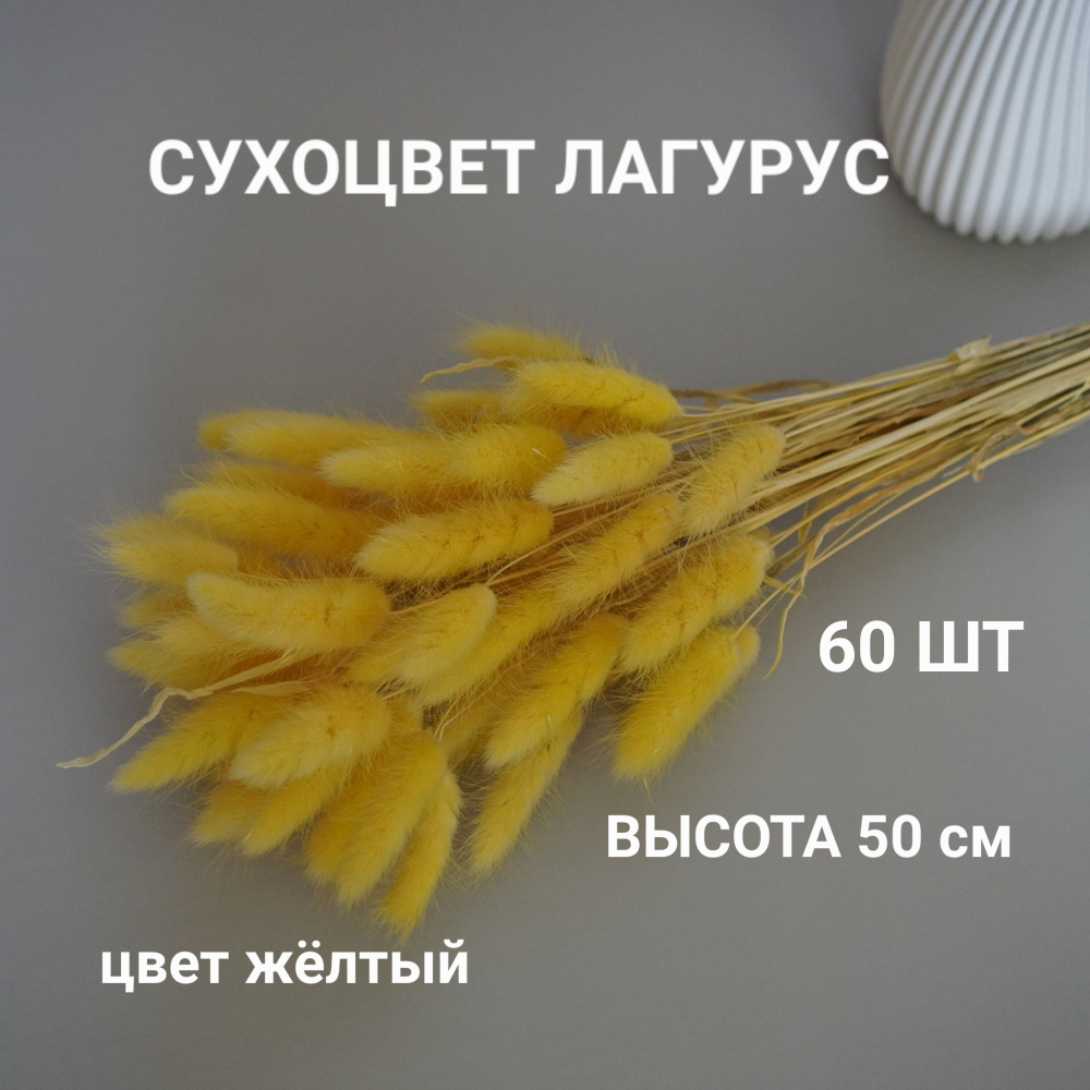 Букет из сухоцветов Лагурус, 55 см, 100 гр, 60 шт купить по выгодной ...