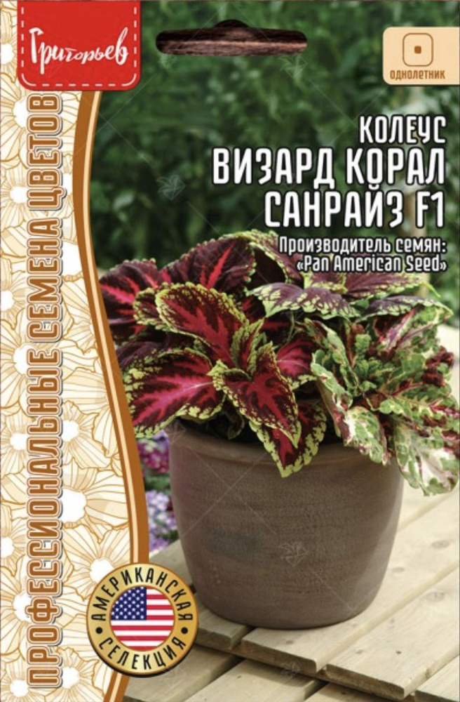 Колеус Визард Корал Санрайз F1, 1 пакет, семена 5 шт, ЧК #1