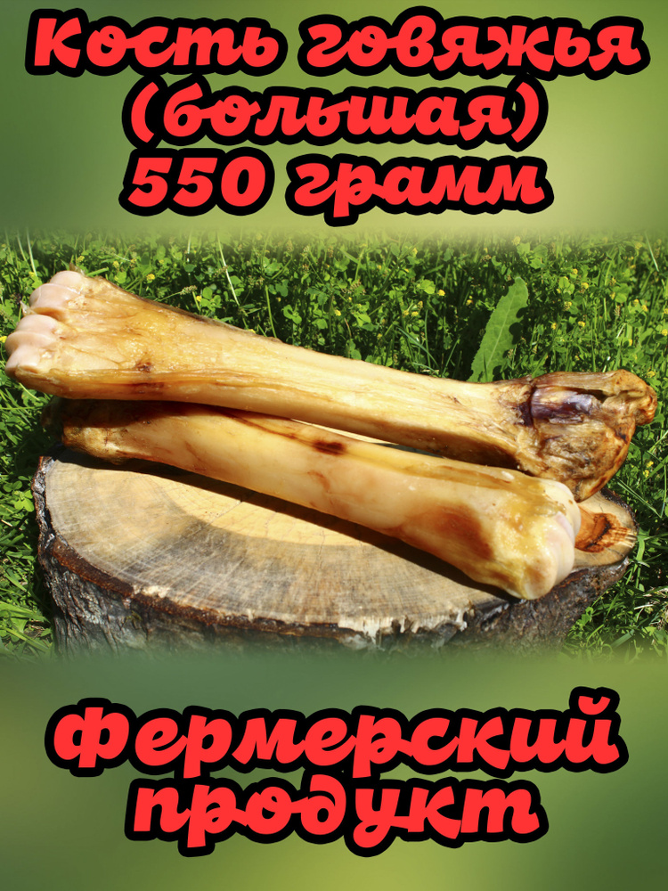 Кость говяжья, лакомство угощение для собак, 1 шт - купить с доставкой ...