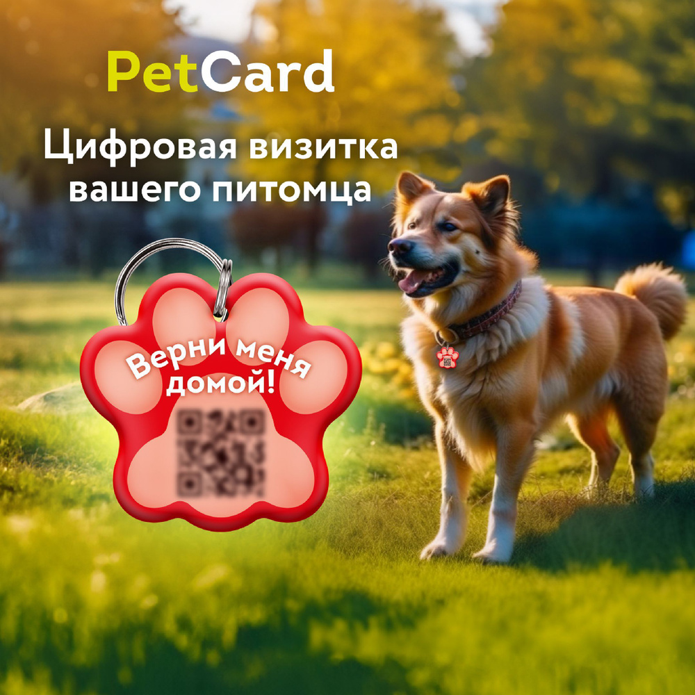 Адресник для собак и кошек с QR кодом и NFC/ цифровая визитка PetCard ...