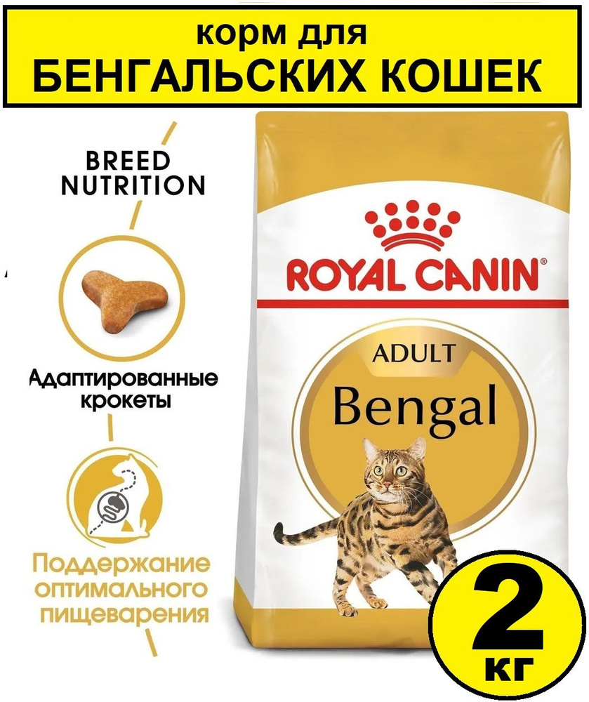 Корм роял канин для бенгальских кошек, роял конин для кошек Royal Canin  Bengal Adult, 2 кг - купить с доставкой по выгодным ценам в  интернет-магазине OZON (1277115425)