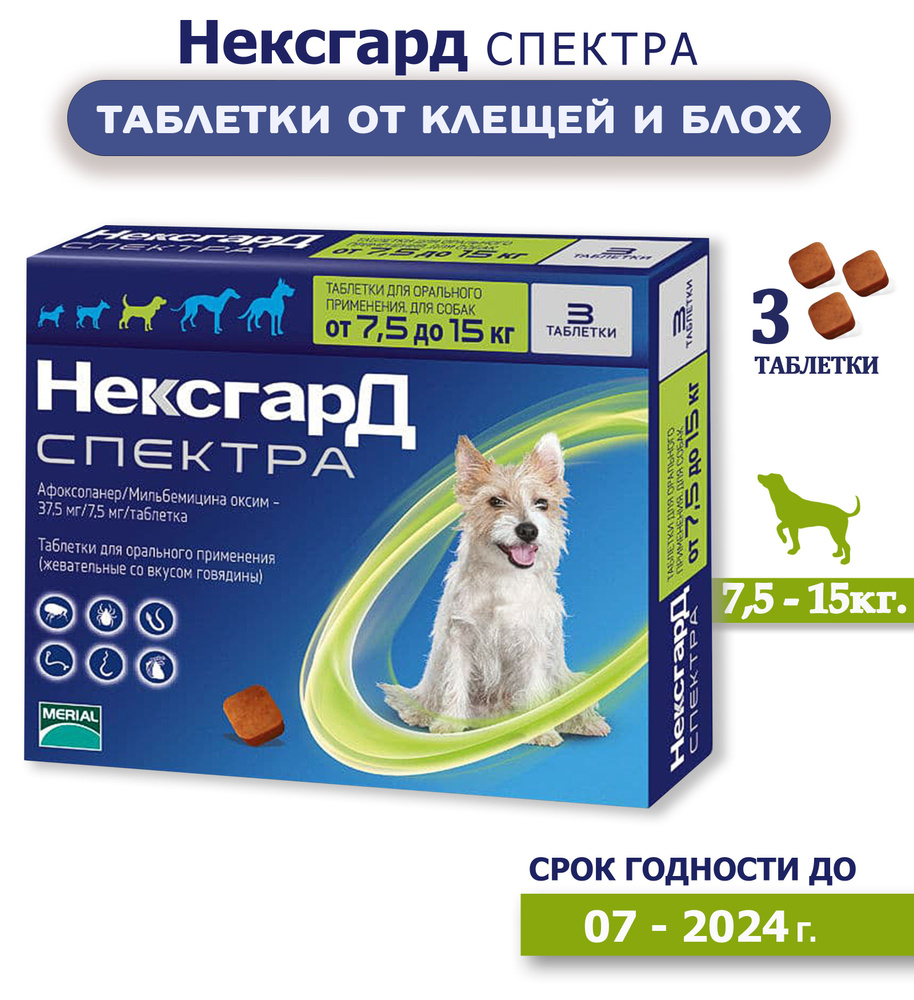 Нексгард спектра жевательные таблетки для собак от клещей и блох, весом  7-15 кг M - купить с доставкой по выгодным ценам в интернет-магазине OZON  (1281367566)