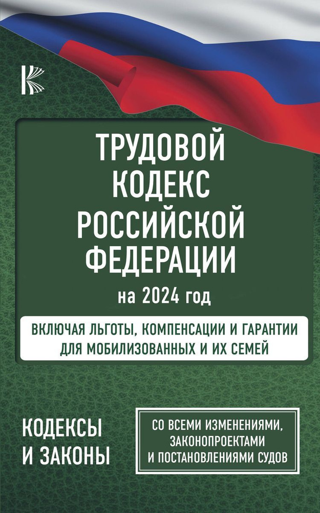 Трудовой Кодекс Российской Федерации на 2024 год. Включая льготы, компенсации и гарантии для мобилизованных #1