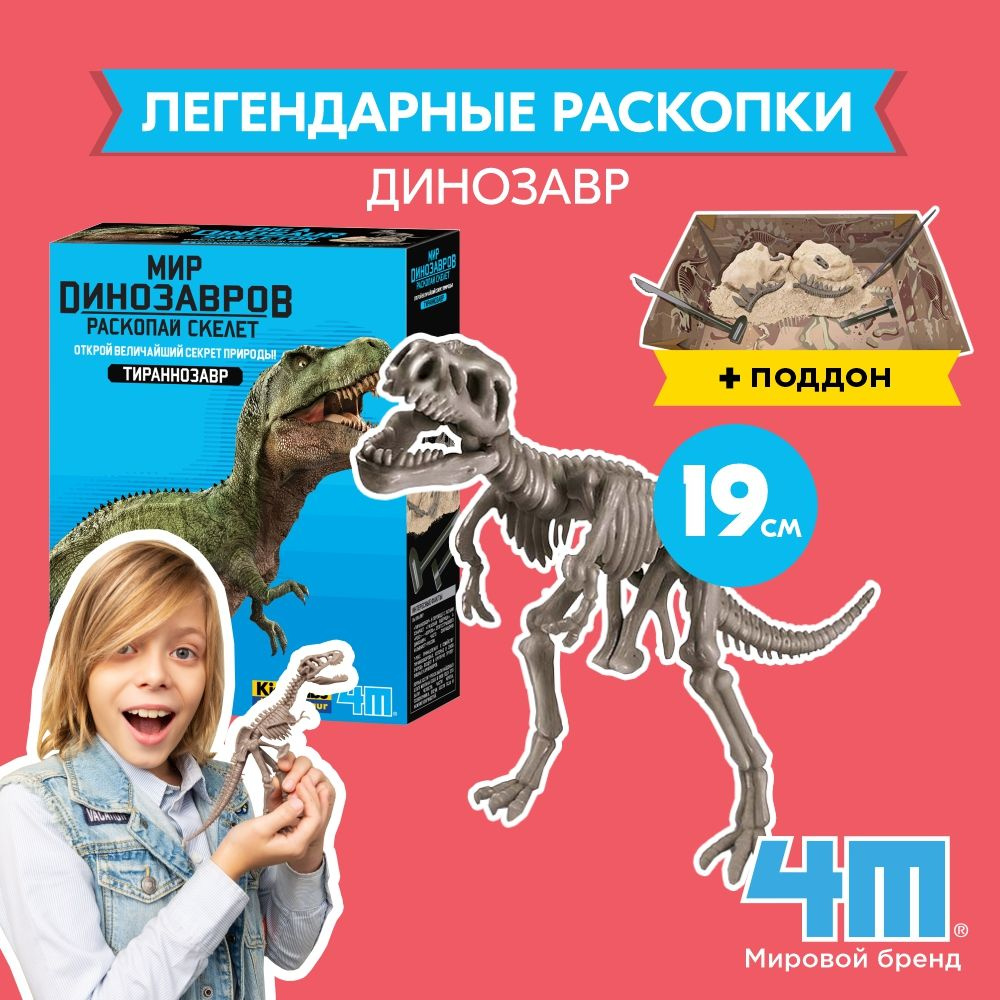 Вопросы и ответы о Набор 4M 00-03229 Раскопай скелет. Стегозавр / Игра для  детей, Раскопки Скелет динозавра в гипсе / Набор для опытов – OZON