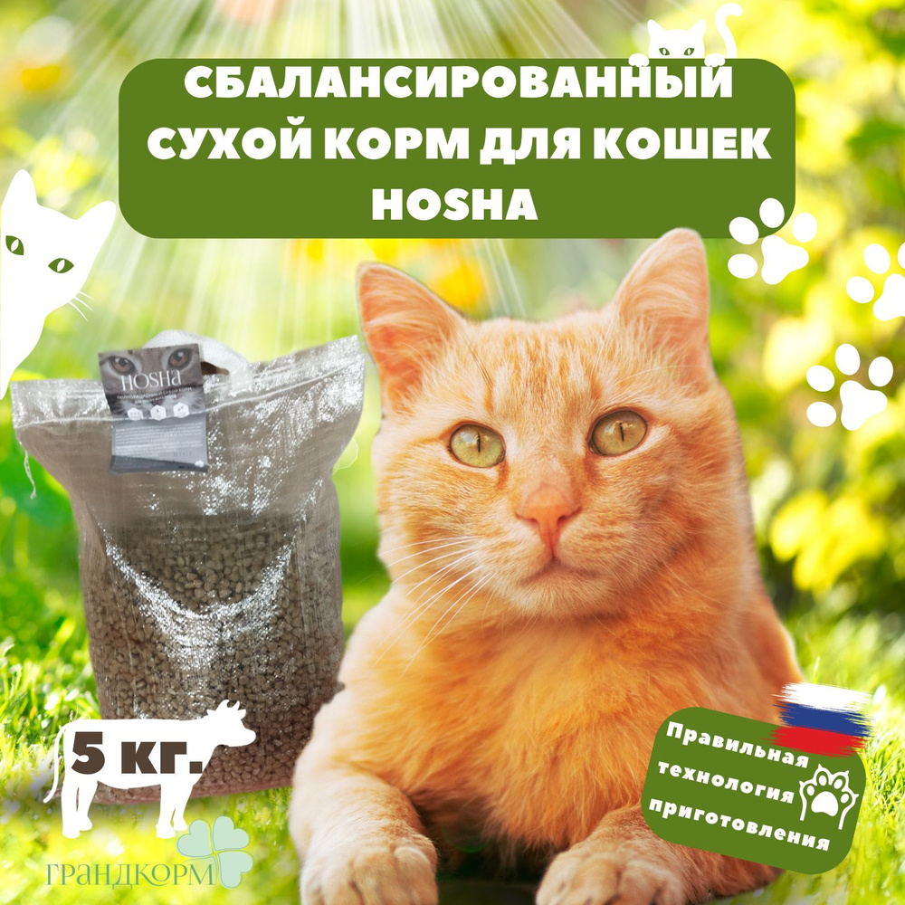 Cухой корм для кошек (полнорационный корм для кошек и котят) 